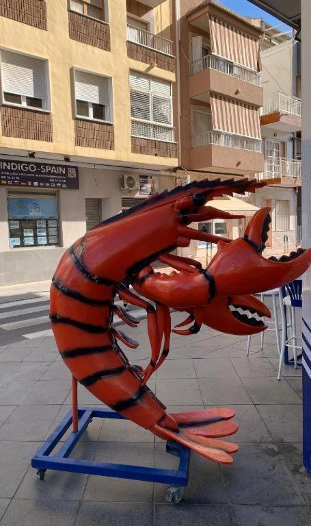 Eb By Zanis Lägenhet Torrevieja Exteriör bild